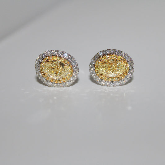 Yellow Diamond Earrings